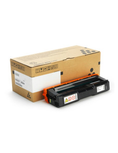 407716 SP C252HEBK 2