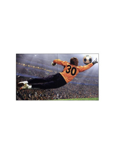 MONITOR LG DIGITAL SIGNAGE VIDEOWALL 49" 49VL5G-M 3.5mm 1920x1080 8ms 500 cd/m2 1.000:1 DVI 2HDMI DP USB RJ45