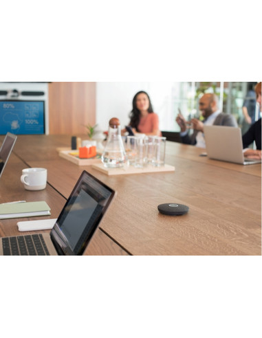 LOGITECH MICROFONO PER LOGITECH RALLY e RALLY PLUS - 989-000430