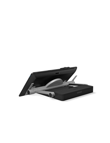 Cintiq Pro 24 Ergo Stand - ACK62801K
