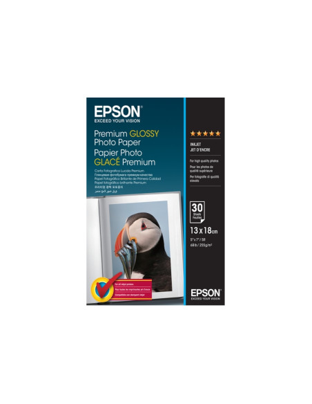 C13S042154 Premium Glossy 30 Blatt