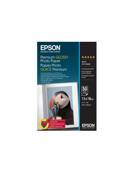 C13S042154 Premium Glossy 30 Blatt