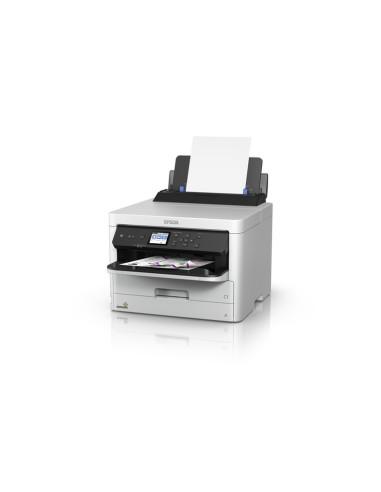 C13T01C300 T01C300 XL