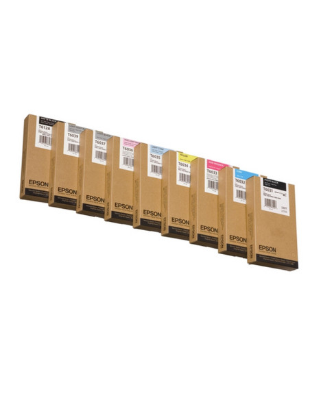 C13T603600 T6036