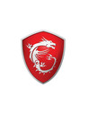 MSI